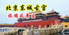 鸡巴操美女视频。中国北京-东城古宫旅游风景区